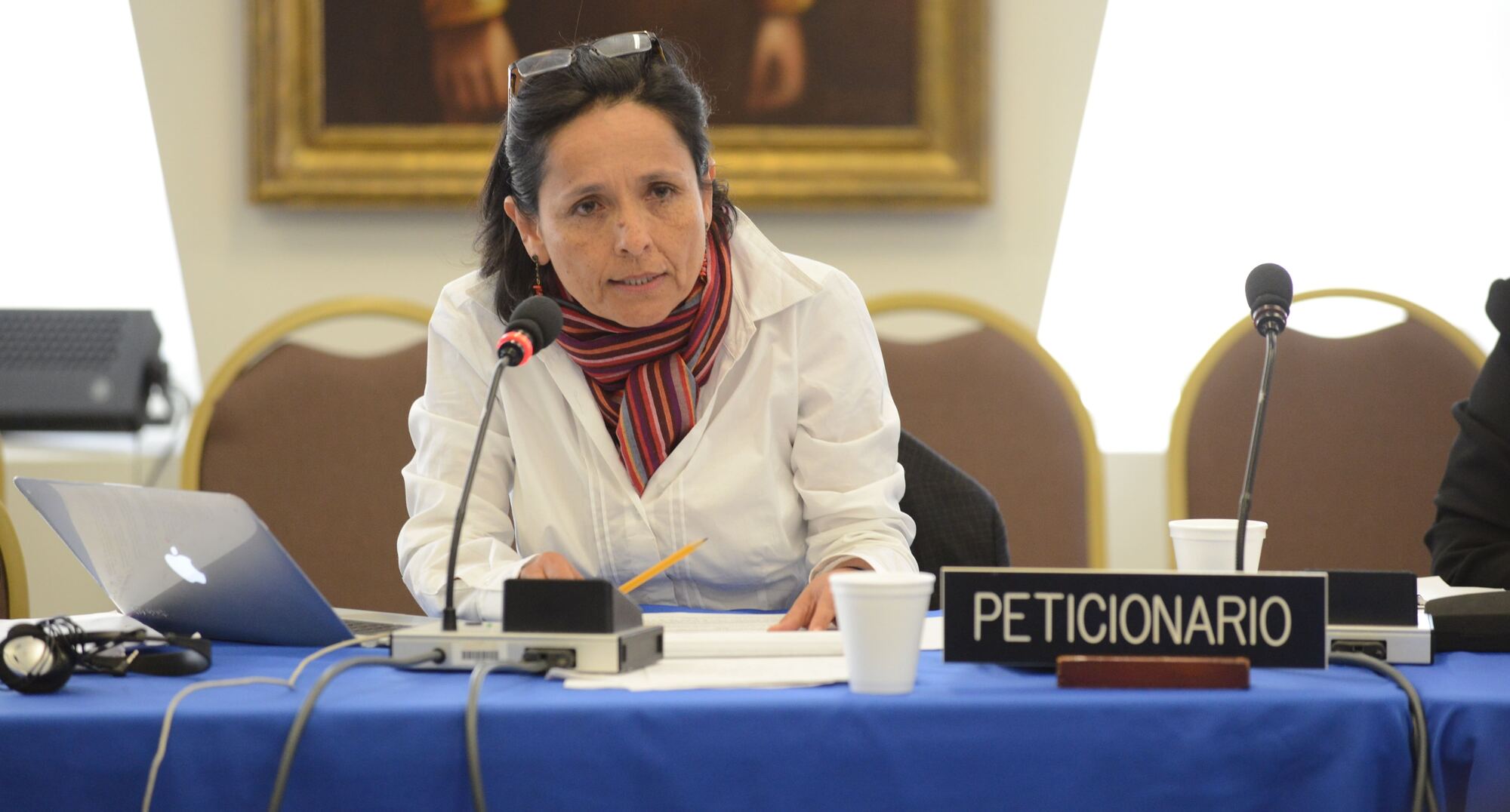Luz Marina Monzón interviene como peticionaria en una audiencia del Sistema Interamericano
